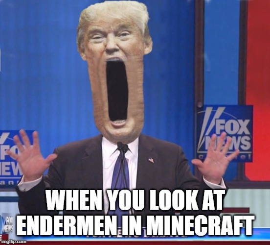 WHEN YOU LOOK AT ENDERMEN IN MINECRAFT | image tagged in donald trump | made w/ Imgflip meme maker