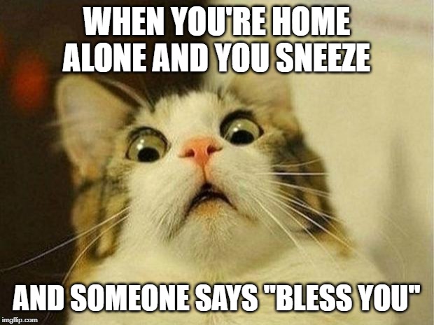 Scared Cat | WHEN YOU'RE HOME ALONE AND YOU SNEEZE; AND SOMEONE SAYS "BLESS YOU" | image tagged in memes,scared cat | made w/ Imgflip meme maker