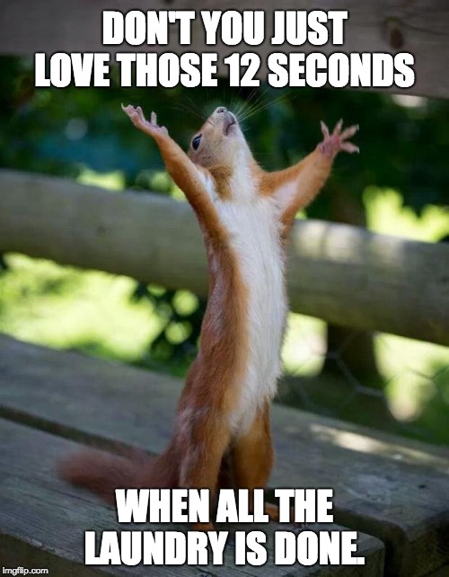 Happy Squirrel |  DON'T YOU JUST LOVE THOSE 12 SECONDS; WHEN ALL THE LAUNDRY IS DONE. | image tagged in happy squirrel | made w/ Imgflip meme maker