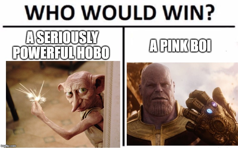 Who Would Win? Meme | A SERIOUSLY POWERFUL HOBO; A PINK BOI | image tagged in memes,who would win,thanos,dobby,snap,hobo | made w/ Imgflip meme maker