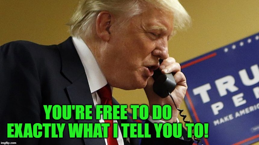 Trump phone | YOU'RE FREE TO DO EXACTLY WHAT I TELL YOU TO! | image tagged in trump phone | made w/ Imgflip meme maker