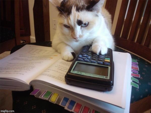 Math cat | image tagged in math cat | made w/ Imgflip meme maker