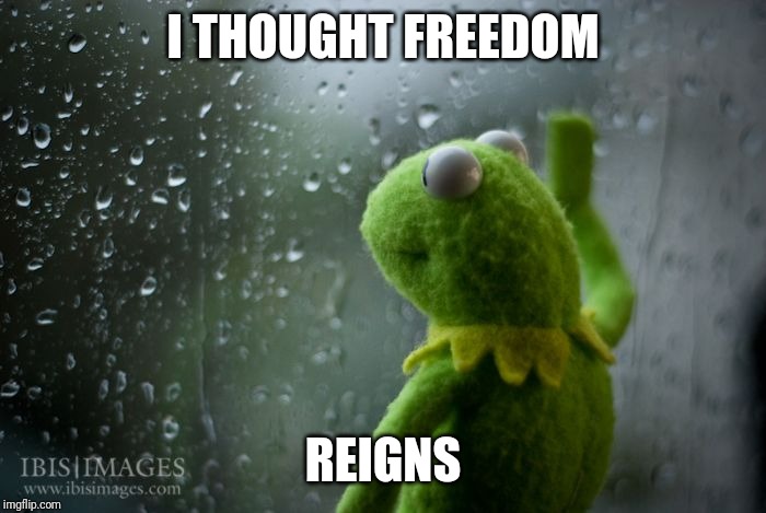 kermit window | I THOUGHT FREEDOM REIGNS | image tagged in kermit window | made w/ Imgflip meme maker