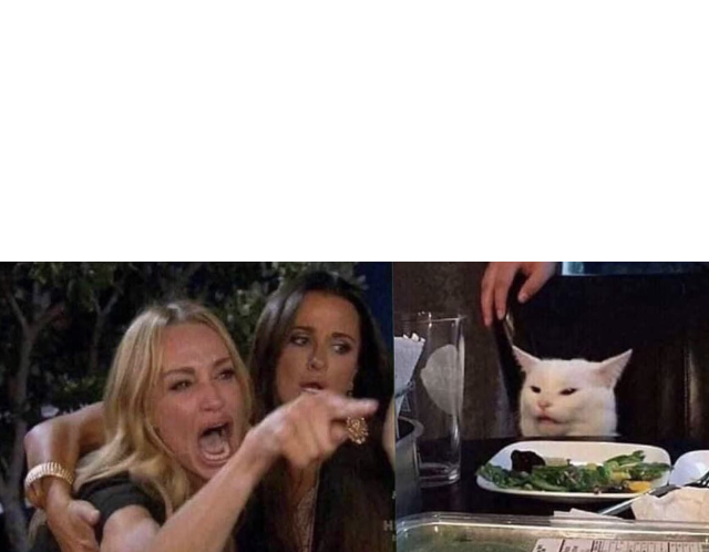 Women yelling at cat Blank Meme Template