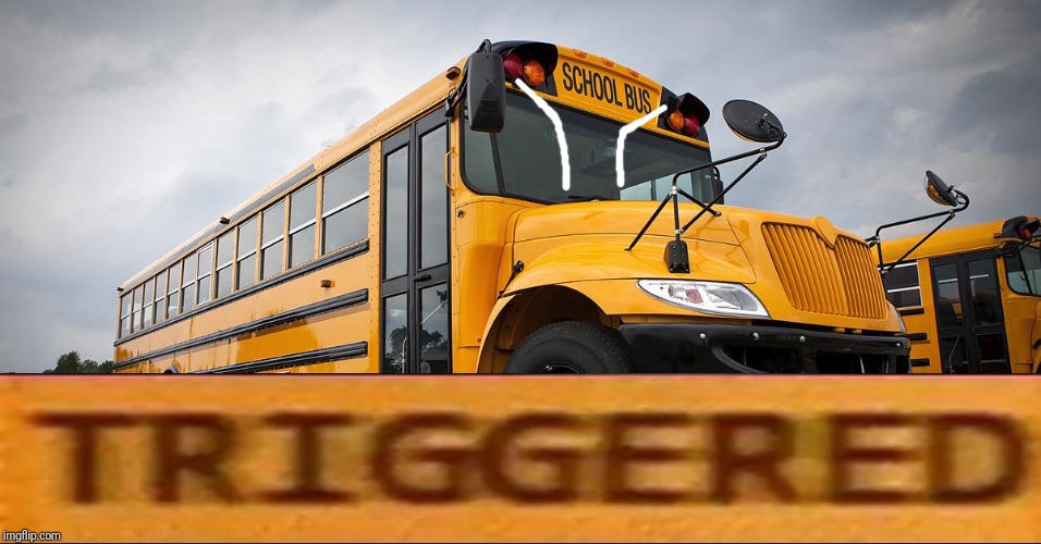 School Bus | image tagged in school bus | made w/ Imgflip meme maker