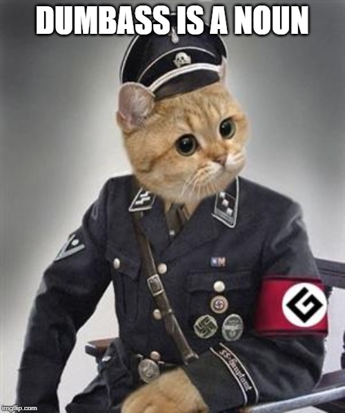 Grammar Nazi Cat | DUMBASS IS A NOUN | image tagged in grammar nazi cat | made w/ Imgflip meme maker