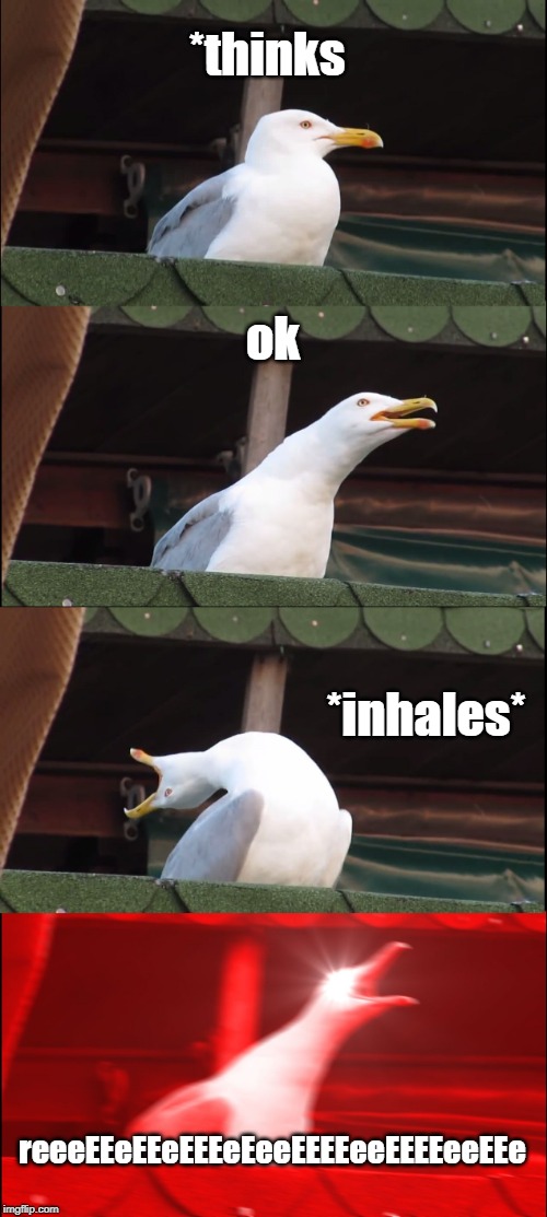 Inhaling Seagull Meme | *thinks; ok; *inhales*; reeeEEeEEeEEEeEeeEEEEeeEEEEeeEEe | image tagged in memes,inhaling seagull | made w/ Imgflip meme maker
