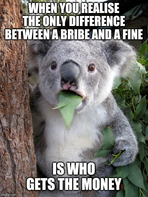 Surprised Koala Latest Memes Imgflip