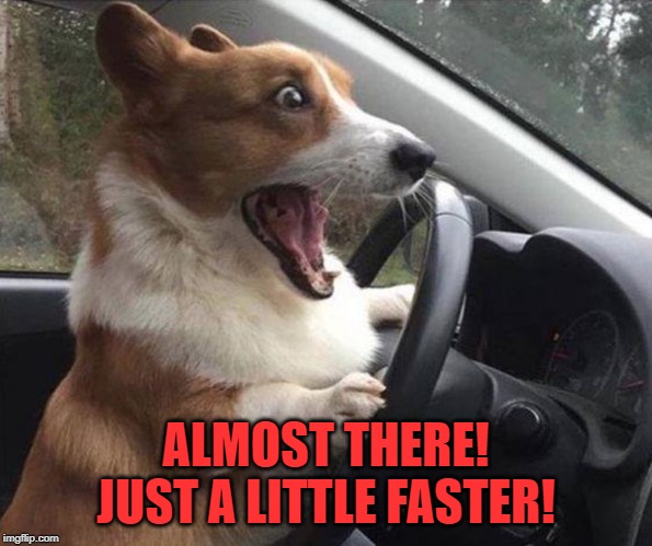 dog driving | ALMOST THERE! JUST A LITTLE FASTER! | image tagged in dog driving | made w/ Imgflip meme maker