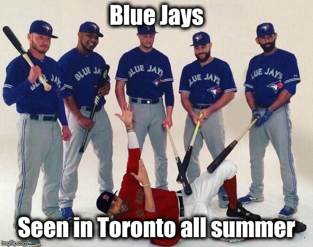 Blue Jays | Blue Jays Seen in Toronto all summer | image tagged in blue jays | made w/ Imgflip meme maker