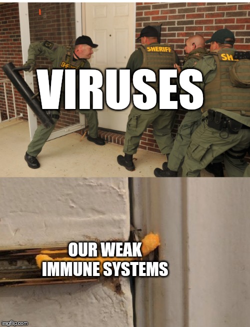 SWAT cheeto lock | VIRUSES; OUR WEAK IMMUNE SYSTEMS | image tagged in swat cheeto lock | made w/ Imgflip meme maker