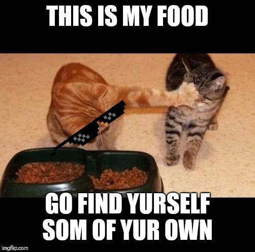 cats share food | THIS IS MY FOOD; GO FIND YURSELF SOM OF YUR OWN | image tagged in cats share food | made w/ Imgflip meme maker