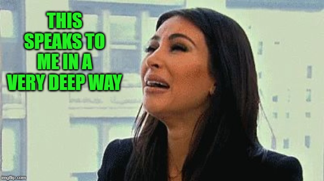 Crying Kim | THIS SPEAKS TO ME IN A VERY DEEP WAY | image tagged in crying kim | made w/ Imgflip meme maker