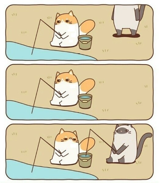 Annoyed Fishing Cat Blank Meme Template