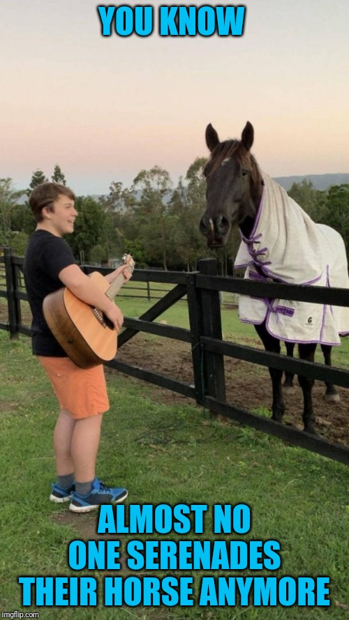 How nice! | YOU KNOW; ALMOST NO ONE SERENADES THEIR HORSE ANYMORE | image tagged in horse love | made w/ Imgflip meme maker