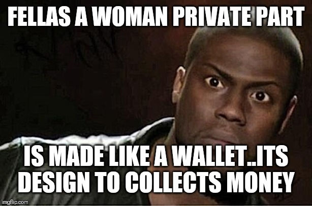 Jroc113 | FELLAS A WOMAN PRIVATE PART; IS MADE LIKE A WALLET..ITS DESIGN TO COLLECTS MONEY | image tagged in kevin hart | made w/ Imgflip meme maker