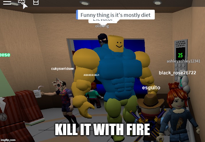 Now! | KILL IT WITH FIRE | image tagged in roblox,roblox noob,kill it with fire,im screamind | made w/ Imgflip meme maker