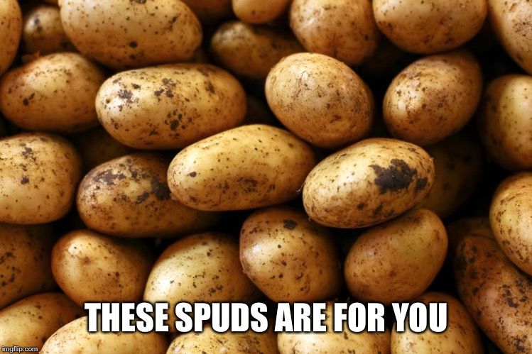 THESE SPUDS ARE FOR YOU | made w/ Imgflip meme maker