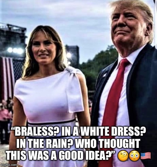 Melania Salutes America! | “BRALESS? IN A WHITE DRESS? IN THE RAIN? WHO THOUGHT THIS WAS A GOOD IDEA?” 🧐😳🇺🇸 | image tagged in melania trump,hoetus,nipple gate,headlights,side eye,lol | made w/ Imgflip meme maker