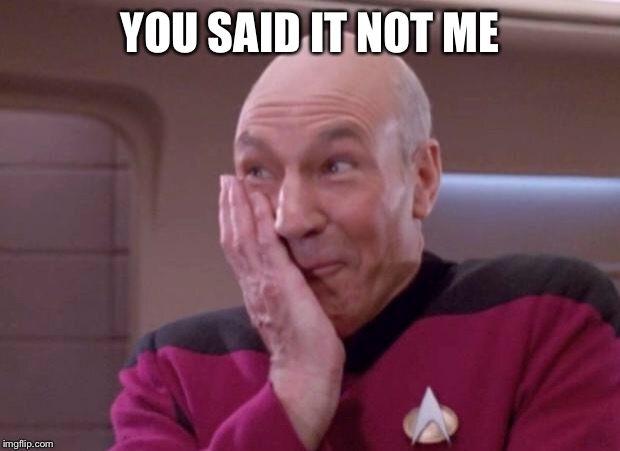 Picard smirk | YOU SAID IT NOT ME | image tagged in picard smirk | made w/ Imgflip meme maker