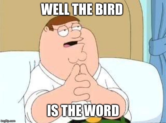 peter griffin go on | WELL THE BIRD IS THE WORD | image tagged in peter griffin go on | made w/ Imgflip meme maker