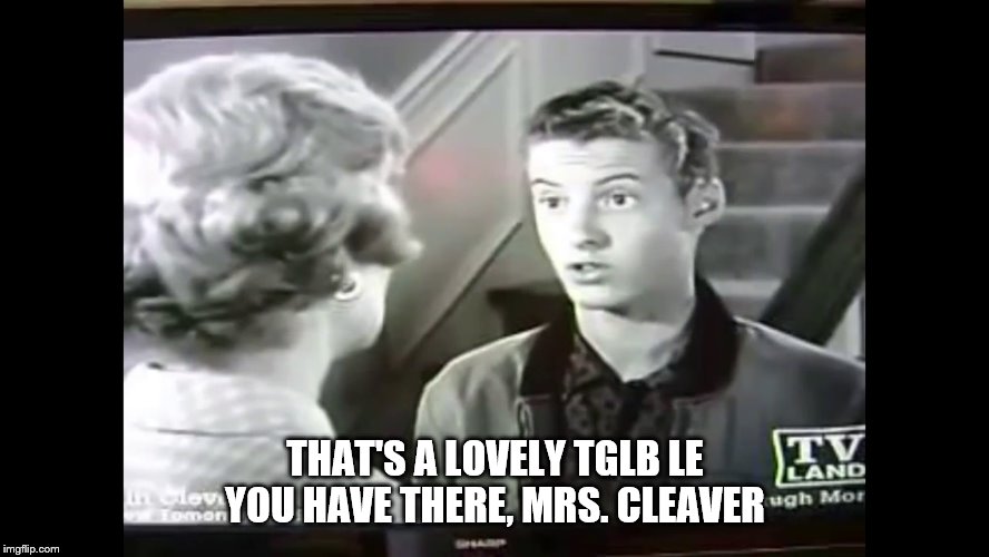 THAT'S A LOVELY TGLB LE YOU HAVE THERE, MRS. CLEAVER | made w/ Imgflip meme maker