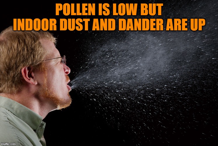 sneeze | POLLEN IS LOW BUT INDOOR DUST AND DANDER ARE UP | image tagged in sneeze | made w/ Imgflip meme maker