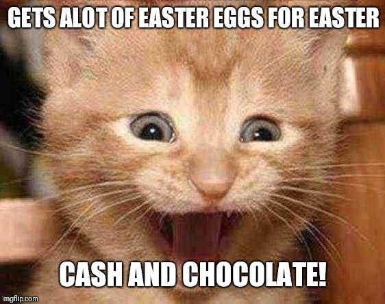 Excited Cat | GETS ALOT OF EASTER EGGS FOR EASTER; CASH AND CHOCOLATE! | image tagged in memes,excited cat | made w/ Imgflip meme maker