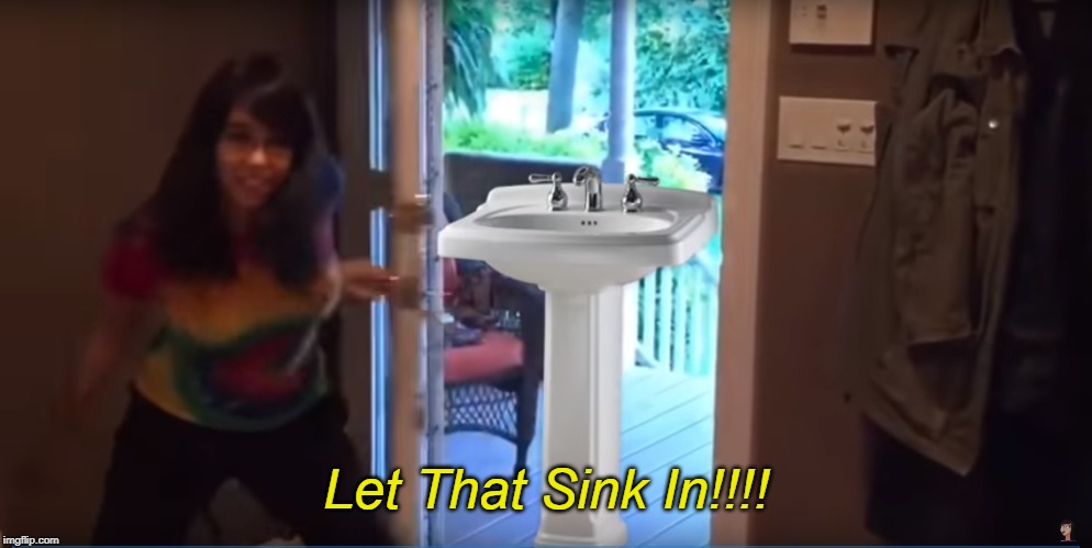 Shoe0nHead Let That Sink In! | Let That Sink In!!!! | image tagged in shoe0nhead let that sink in | made w/ Imgflip meme maker