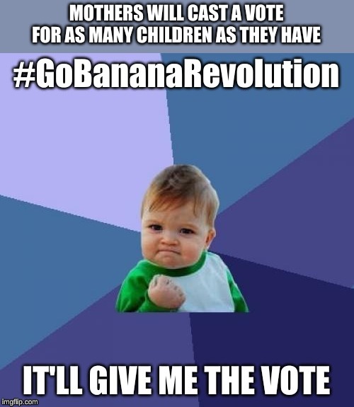 Power Kid | MOTHERS WILL CAST A VOTE FOR AS MANY CHILDREN AS THEY HAVE | image tagged in banana,revolution | made w/ Imgflip meme maker