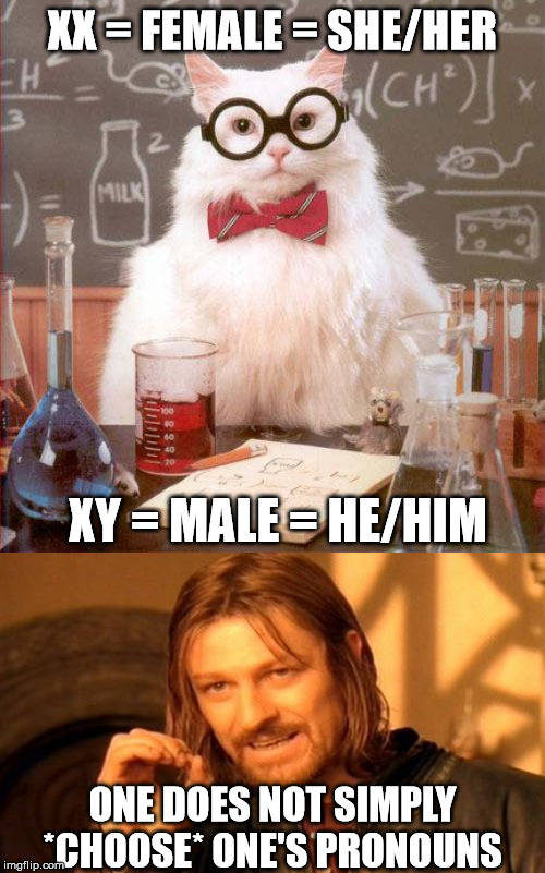 It's all about the science! | XX = FEMALE = SHE/HER; XY = MALE = HE/HIM; ONE DOES NOT SIMPLY *CHOOSE* ONE'S PRONOUNS | image tagged in memes,one does not simply,science cat,science,gender confusion | made w/ Imgflip meme maker