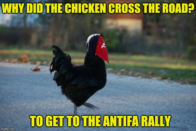 WHY DID THE CHICKEN CROSS THE ROAD? TO GET TO THE ANTIFA RALLY | made w/ Imgflip meme maker