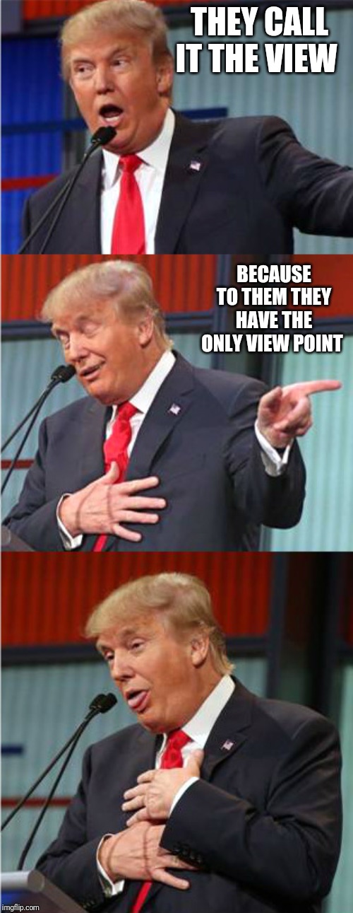 Bad Pun Trump | THEY CALL IT THE VIEW; BECAUSE TO THEM THEY HAVE THE ONLY VIEW POINT | image tagged in bad pun trump | made w/ Imgflip meme maker