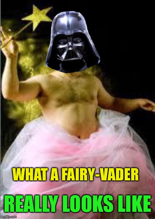 WHAT A FAIRY-VADER REALLY LOOKS LIKE | made w/ Imgflip meme maker