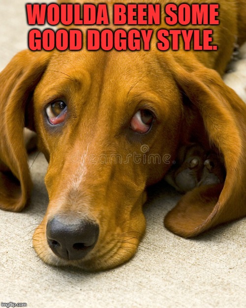 sad dog,        all good things must end | WOULDA BEEN SOME GOOD DOGGY STYLE. | image tagged in sad dog     all good things must end | made w/ Imgflip meme maker