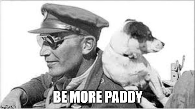 BE MORE PADDY | image tagged in we got us a badass over here | made w/ Imgflip meme maker