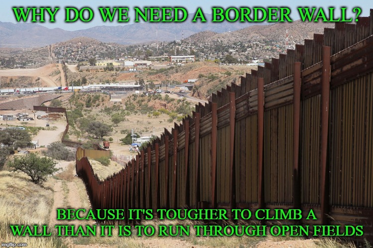 Congress needs to quit stalling and do something besides complain. | WHY DO WE NEED A BORDER WALL? BECAUSE IT'S TOUGHER TO CLIMB A WALL THAN IT IS TO RUN THROUGH OPEN FIELDS | image tagged in border wall 02,the_real_donald_trump,border wall | made w/ Imgflip meme maker