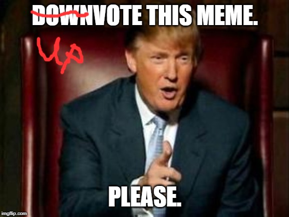 Donald Trump | DOWNVOTE THIS MEME. PLEASE. | image tagged in donald trump | made w/ Imgflip meme maker