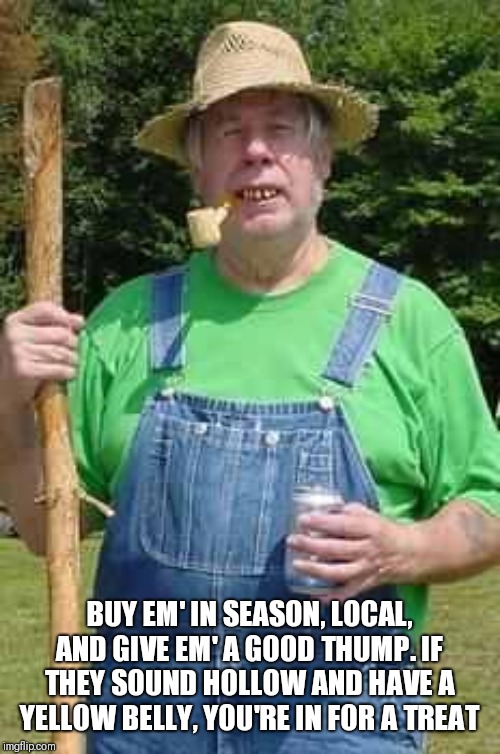 Hillbilly Pappy | BUY EM' IN SEASON, LOCAL, AND GIVE EM' A GOOD THUMP. IF THEY SOUND HOLLOW AND HAVE A YELLOW BELLY, YOU'RE IN FOR A TREAT | image tagged in hillbilly pappy | made w/ Imgflip meme maker