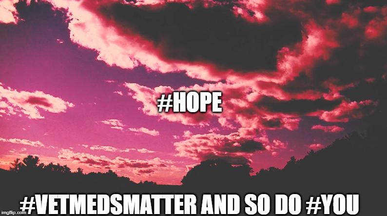 #Hope | #HOPE; #VETMEDSMATTER AND SO DO #YOU | image tagged in hope | made w/ Imgflip meme maker