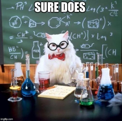 Chemistry Cat Meme | SURE DOES | image tagged in memes,chemistry cat | made w/ Imgflip meme maker