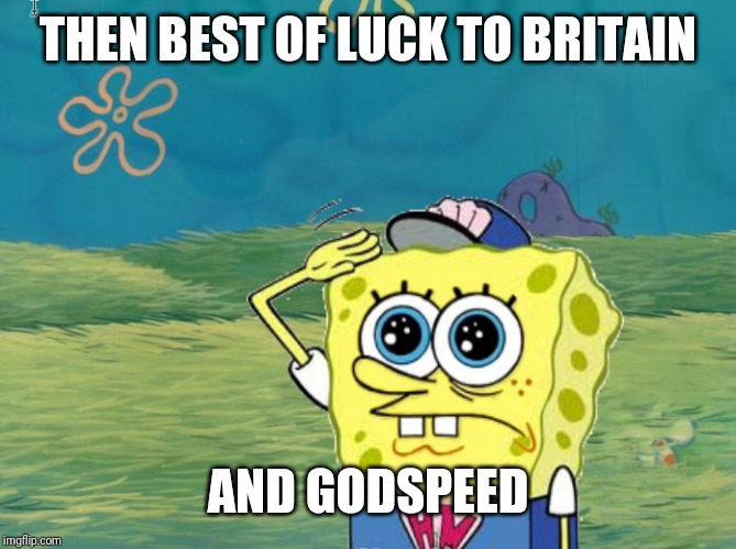 Spongebob salute | THEN BEST OF LUCK TO BRITAIN AND GODSPEED | image tagged in spongebob salute | made w/ Imgflip meme maker