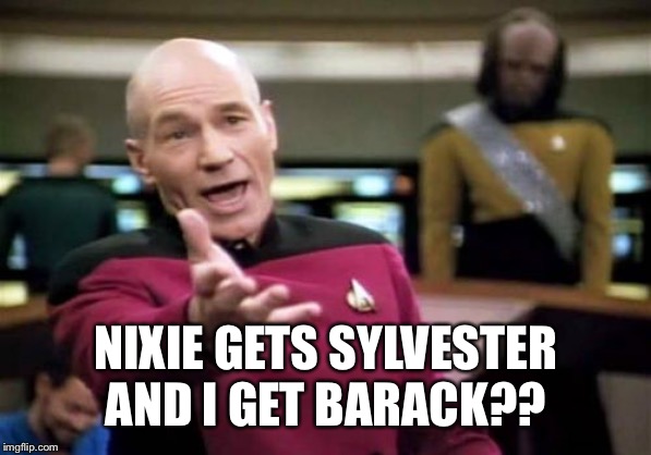 Picard Wtf Meme | NIXIE GETS SYLVESTER AND I GET BARACK?? | image tagged in memes,picard wtf | made w/ Imgflip meme maker