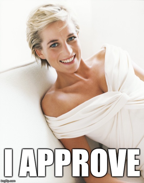 Princess Diana | I APPROVE | image tagged in princess diana | made w/ Imgflip meme maker