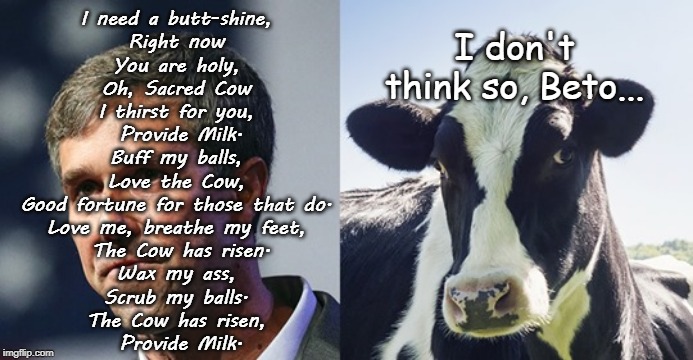 Holy Cow, Beto!!! | I need a butt-shine, 
Right now 
You are holy, 
Oh, Sacred Cow 
I thirst for you, 
Provide Milk.

Buff my balls, 
Love the Cow, 
Good fortune for those that do. 
Love me, breathe my feet, 
The Cow has risen.

Wax my ass, 
Scrub my balls. 
The Cow has risen, 
Provide Milk. I don't think so, Beto... | image tagged in ode,cow,weird | made w/ Imgflip meme maker