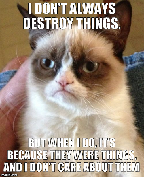 Grumpy Cat Meme | I DON'T ALWAYS DESTROY THINGS. BUT WHEN I DO, IT'S BECAUSE THEY WERE THINGS, AND I DON'T CARE ABOUT THEM | image tagged in memes,grumpy cat | made w/ Imgflip meme maker
