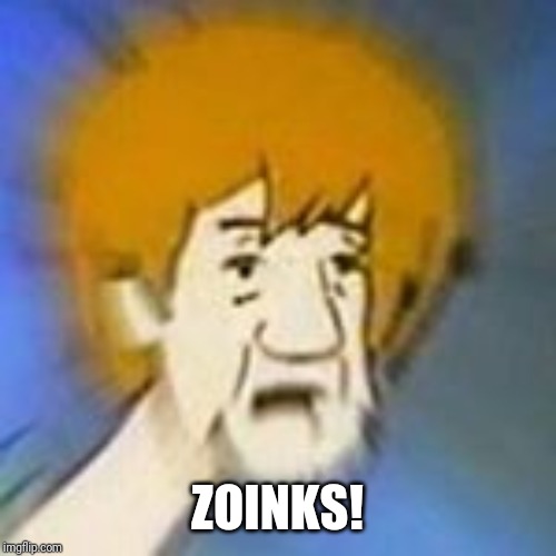 Shaggy Dank Meme | ZOINKS! | image tagged in shaggy dank meme | made w/ Imgflip meme maker