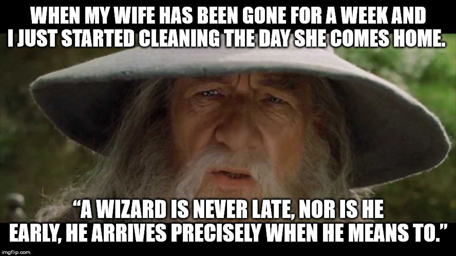 Gandalf Late | WHEN MY WIFE HAS BEEN GONE FOR A WEEK AND I JUST STARTED CLEANING THE DAY SHE COMES HOME. “A WIZARD IS NEVER LATE, NOR IS HE EARLY, HE ARRIVES PRECISELY WHEN HE MEANS TO.” | image tagged in gandalf late | made w/ Imgflip meme maker