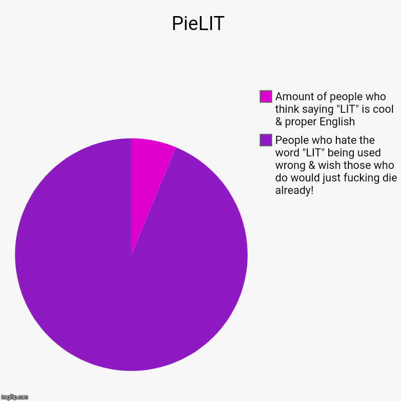 PieLIT | People who hate the word "LIT" being used wrong & wish those who do would just f**king die already!, Amount of people who think say | image tagged in charts,pie charts | made w/ Imgflip chart maker