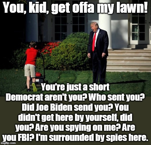 Trump Yelling At Kid | You, kid, get offa my lawn! You're just a short Democrat aren't you? Who sent you? Did Joe Biden send you? You didn't get here by yourself, did you? Are you spying on me? Are you FBI? I'm surrounded by spies here. | image tagged in trump yelling at kid,trump,paranoid,crazy,fbi,joe biden | made w/ Imgflip meme maker